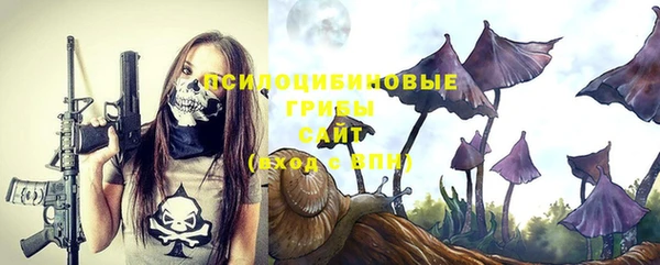 дмт Гусь-Хрустальный